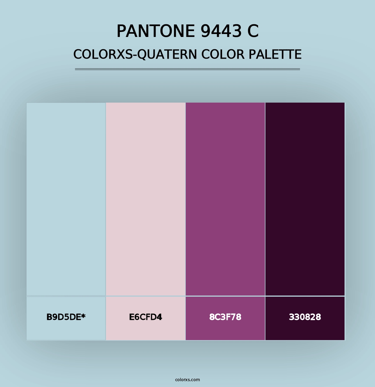 PANTONE 9443 C - Colorxs Quad Palette