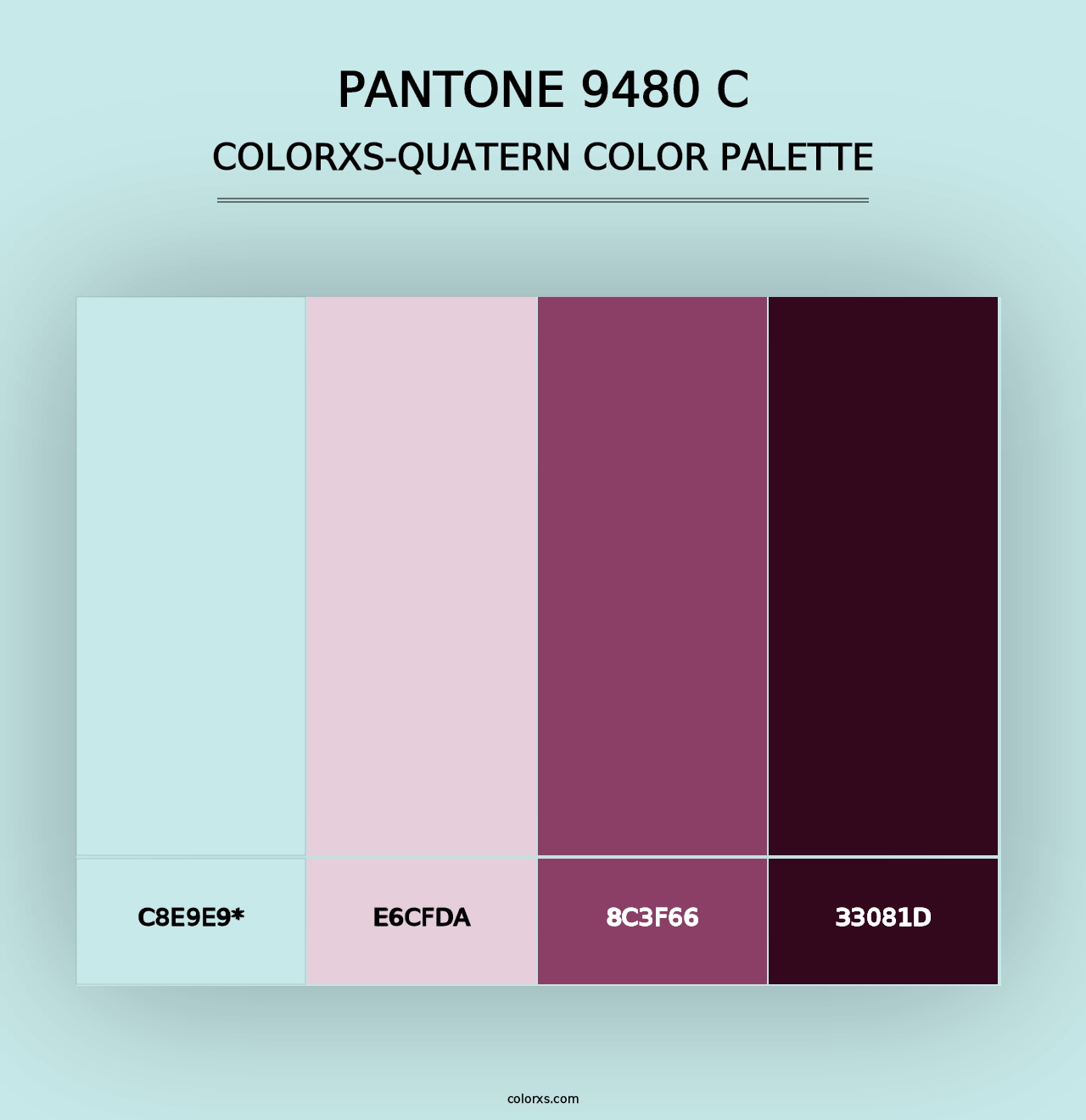 PANTONE 9480 C - Colorxs Quad Palette