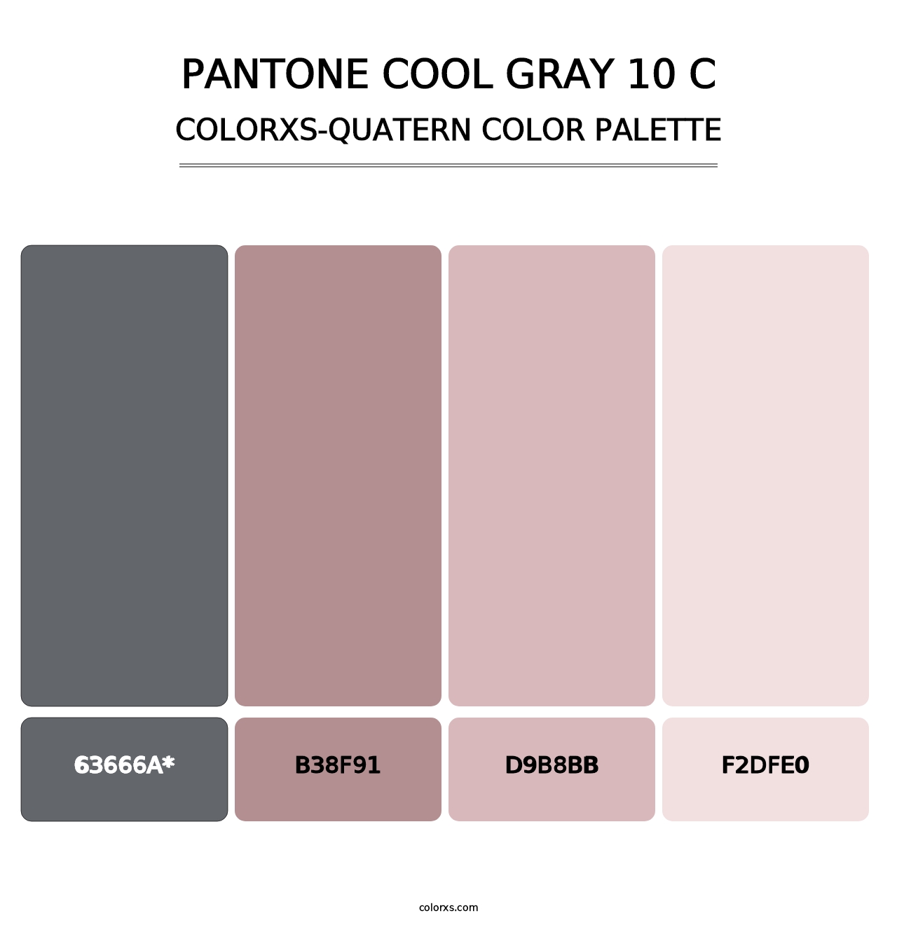 PANTONE Cool Gray 10 C - Colorxs Quad Palette