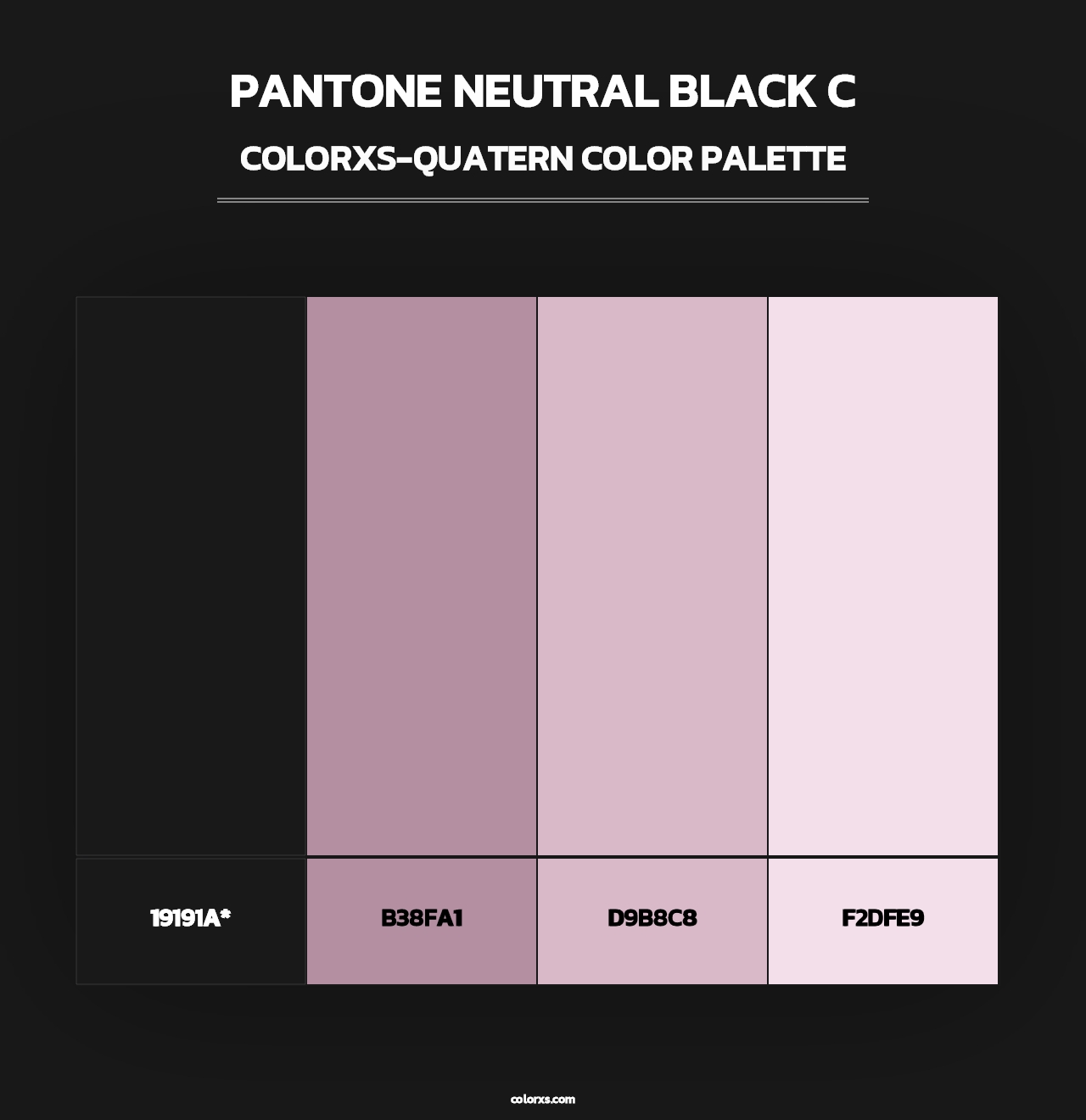 PANTONE Neutral Black C - Colorxs Quad Palette