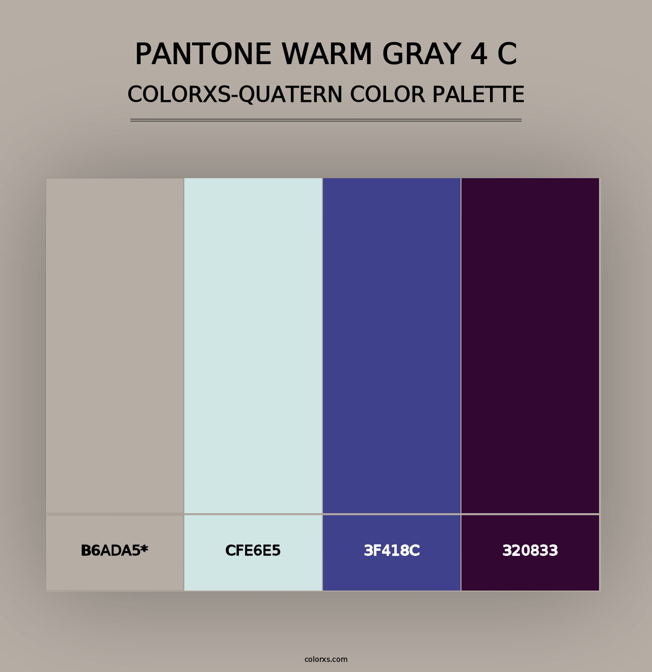 PANTONE Warm Gray 4 C - Colorxs Quad Palette