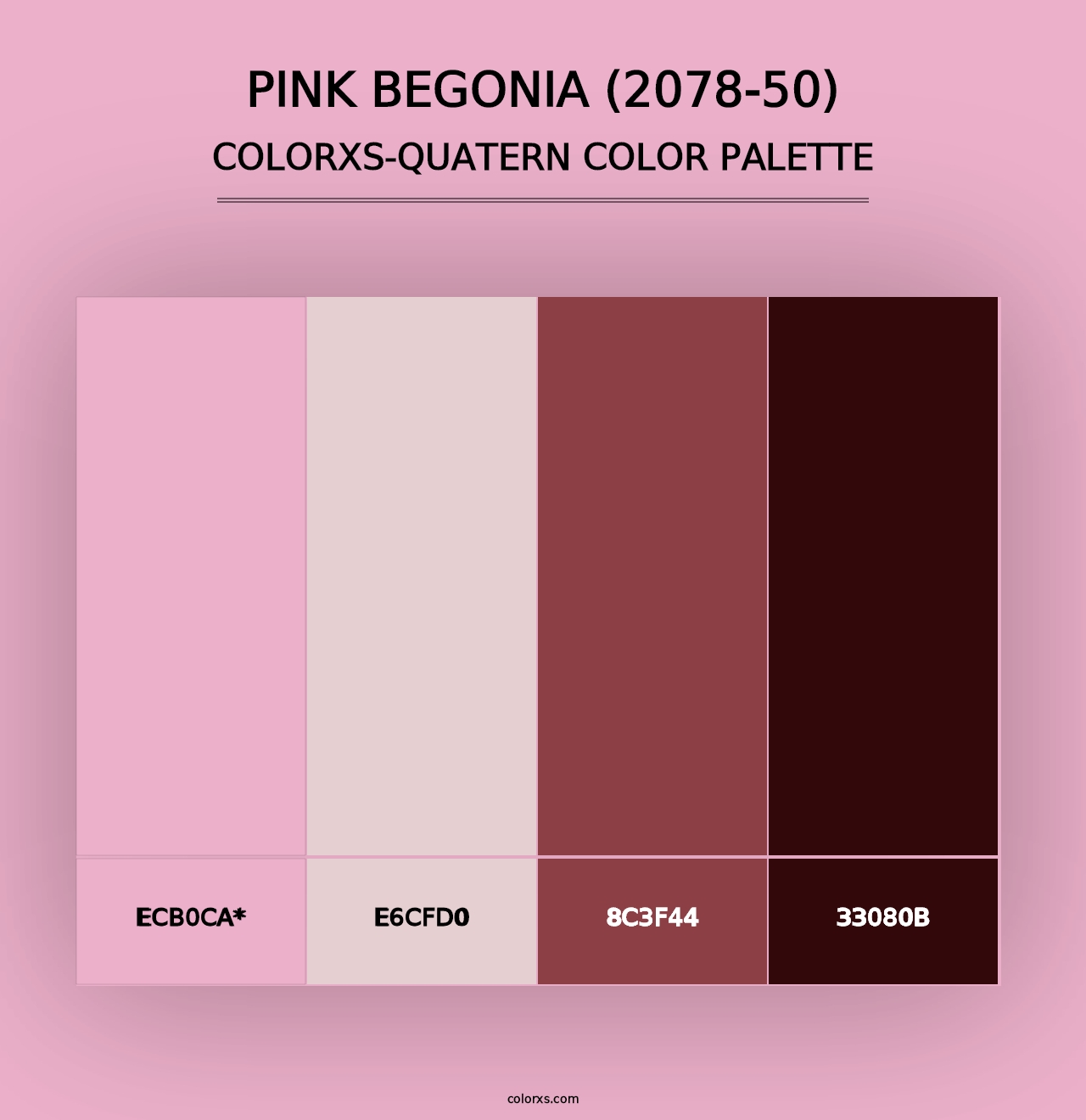 Pink Begonia (2078-50) - Colorxs Quad Palette