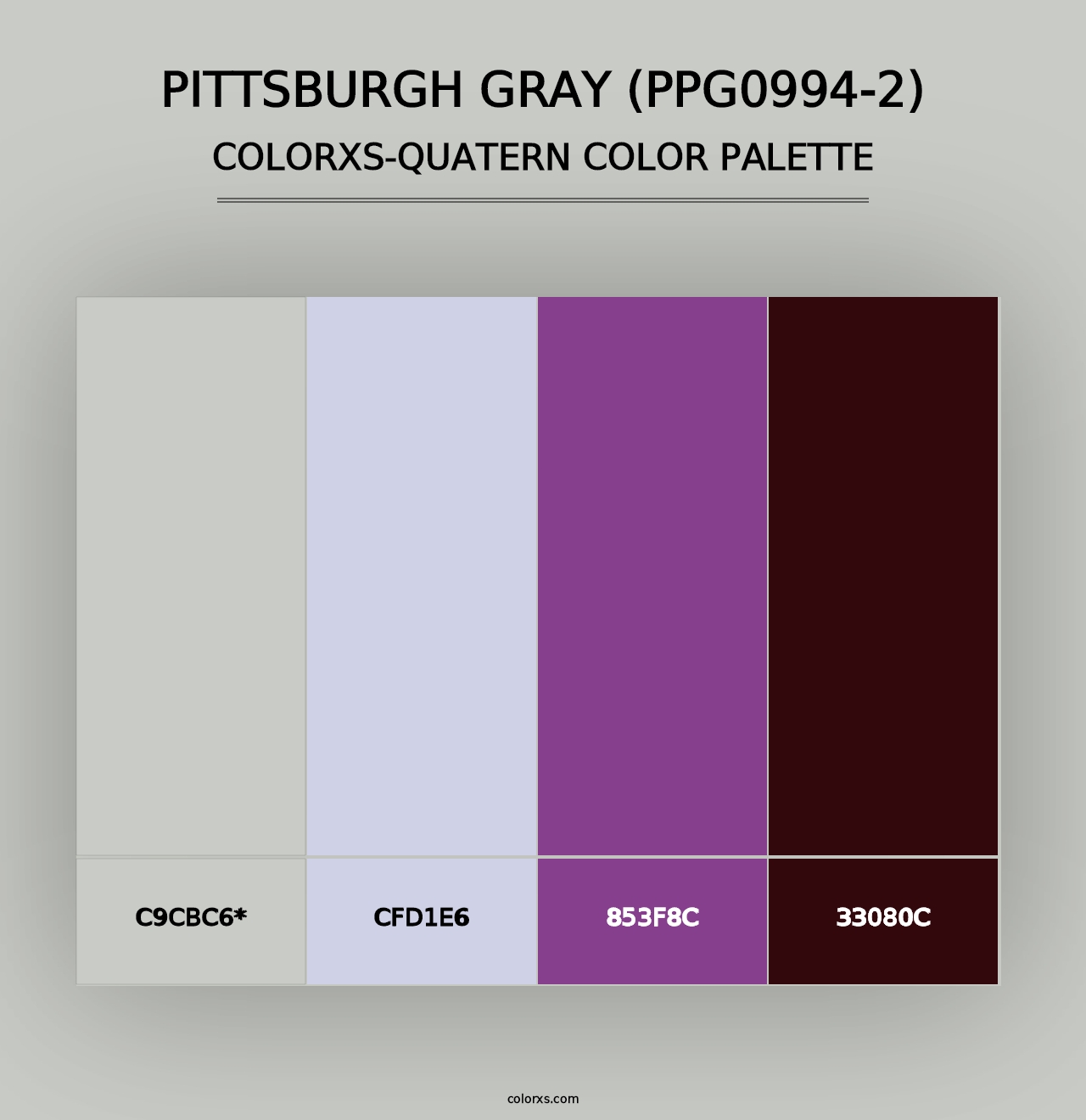 Pittsburgh Gray (PPG0994-2) - Colorxs Quad Palette