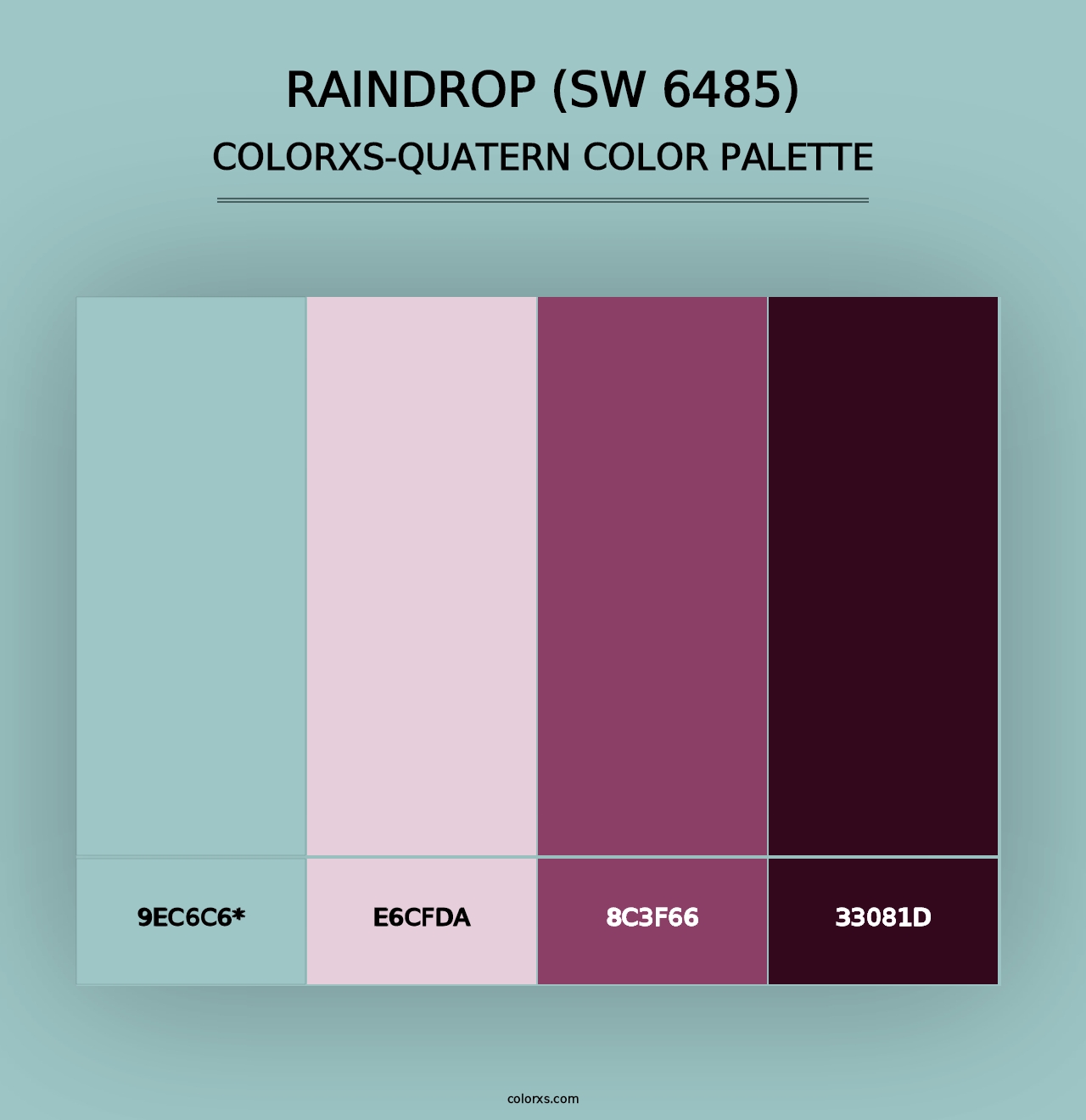 Raindrop (SW 6485) - Colorxs Quad Palette