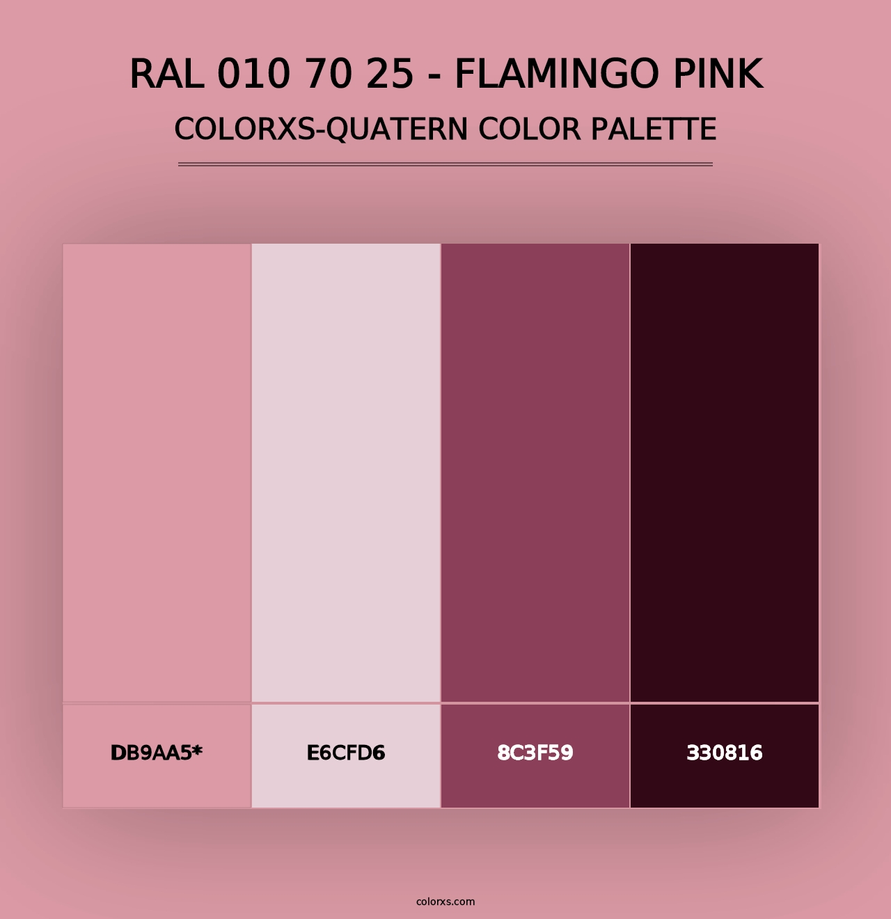 RAL 010 70 25 - Flamingo Pink - Colorxs Quad Palette