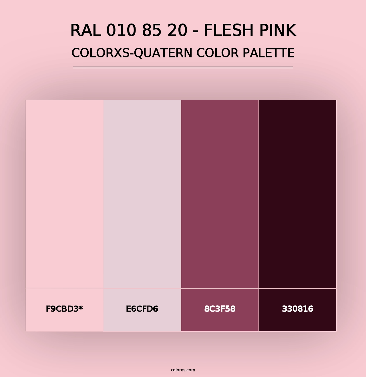 RAL 010 85 20 - Flesh Pink - Colorxs Quad Palette