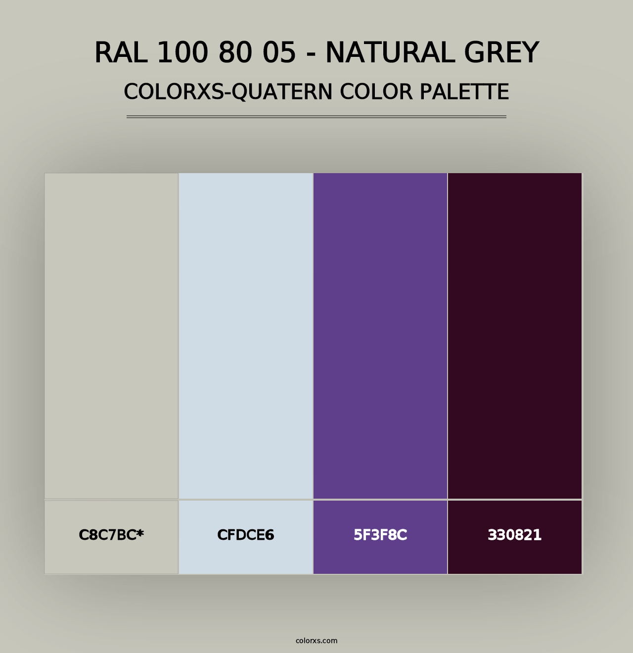 RAL 100 80 05 - Natural Grey - Colorxs Quad Palette