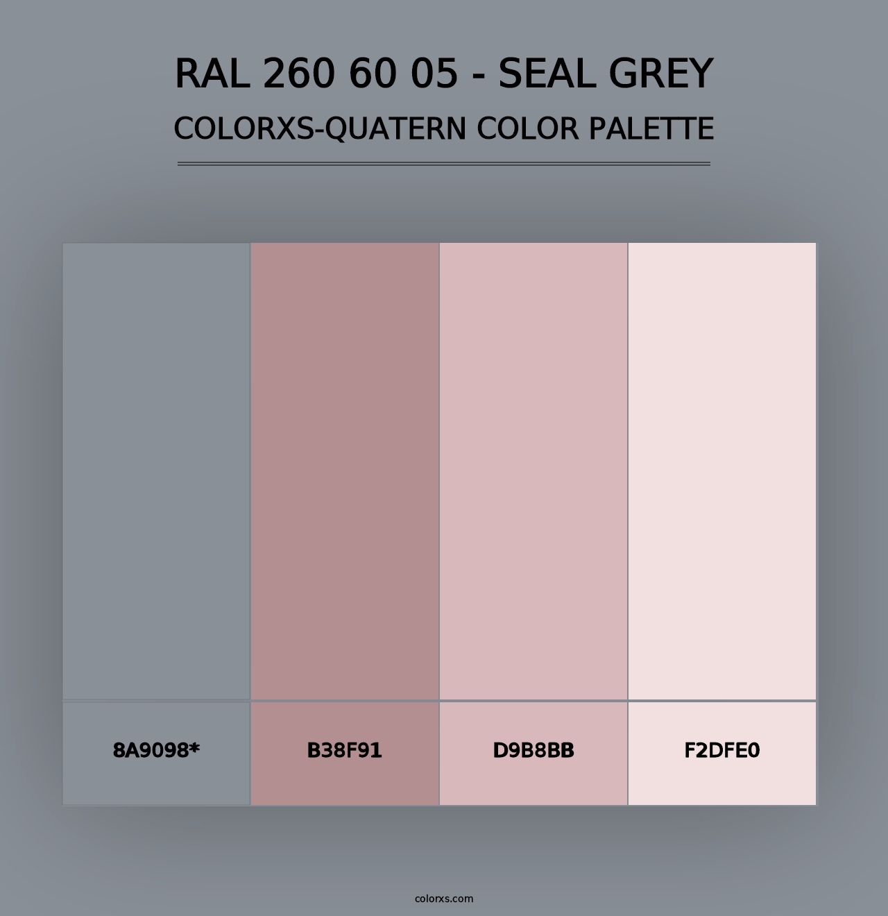 RAL 260 60 05 - Seal Grey - Colorxs Quad Palette