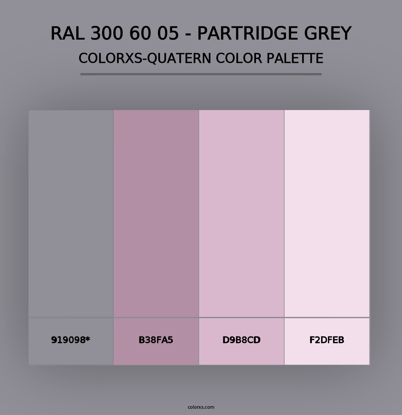 RAL 300 60 05 - Partridge Grey - Colorxs Quad Palette