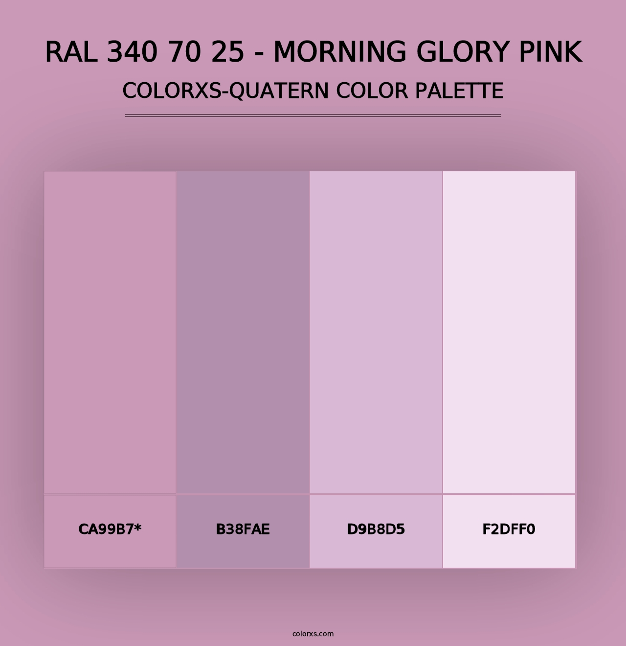 RAL 340 70 25 - Morning Glory Pink - Colorxs Quad Palette