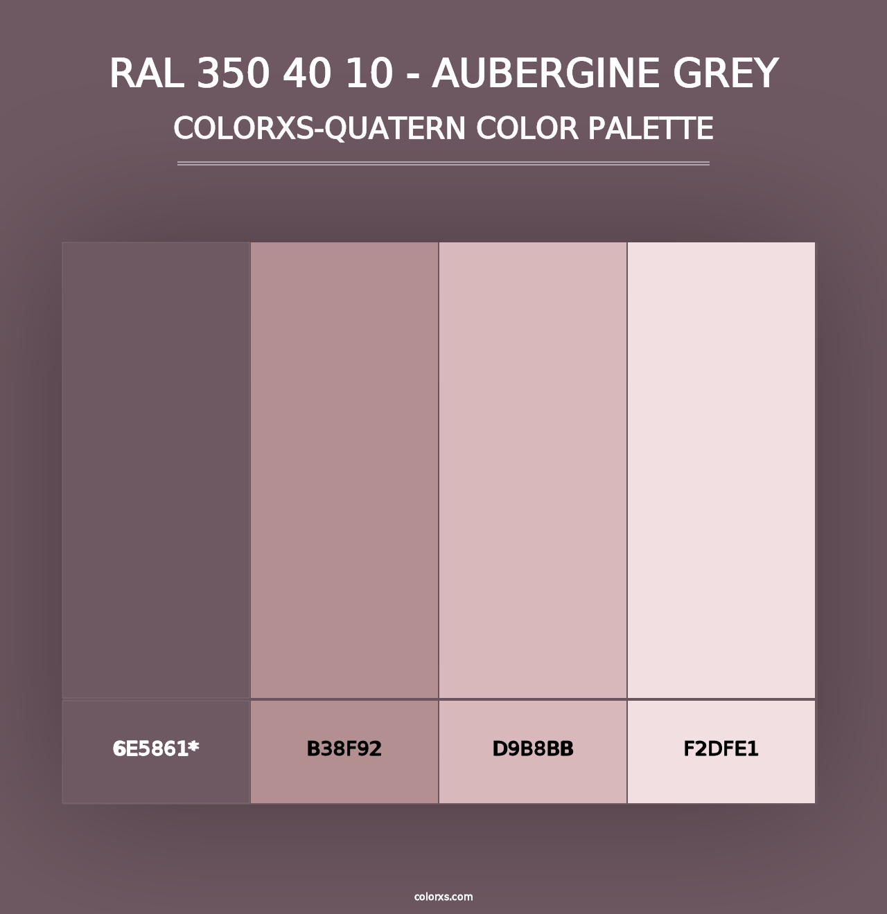 RAL 350 40 10 - Aubergine Grey - Colorxs Quad Palette