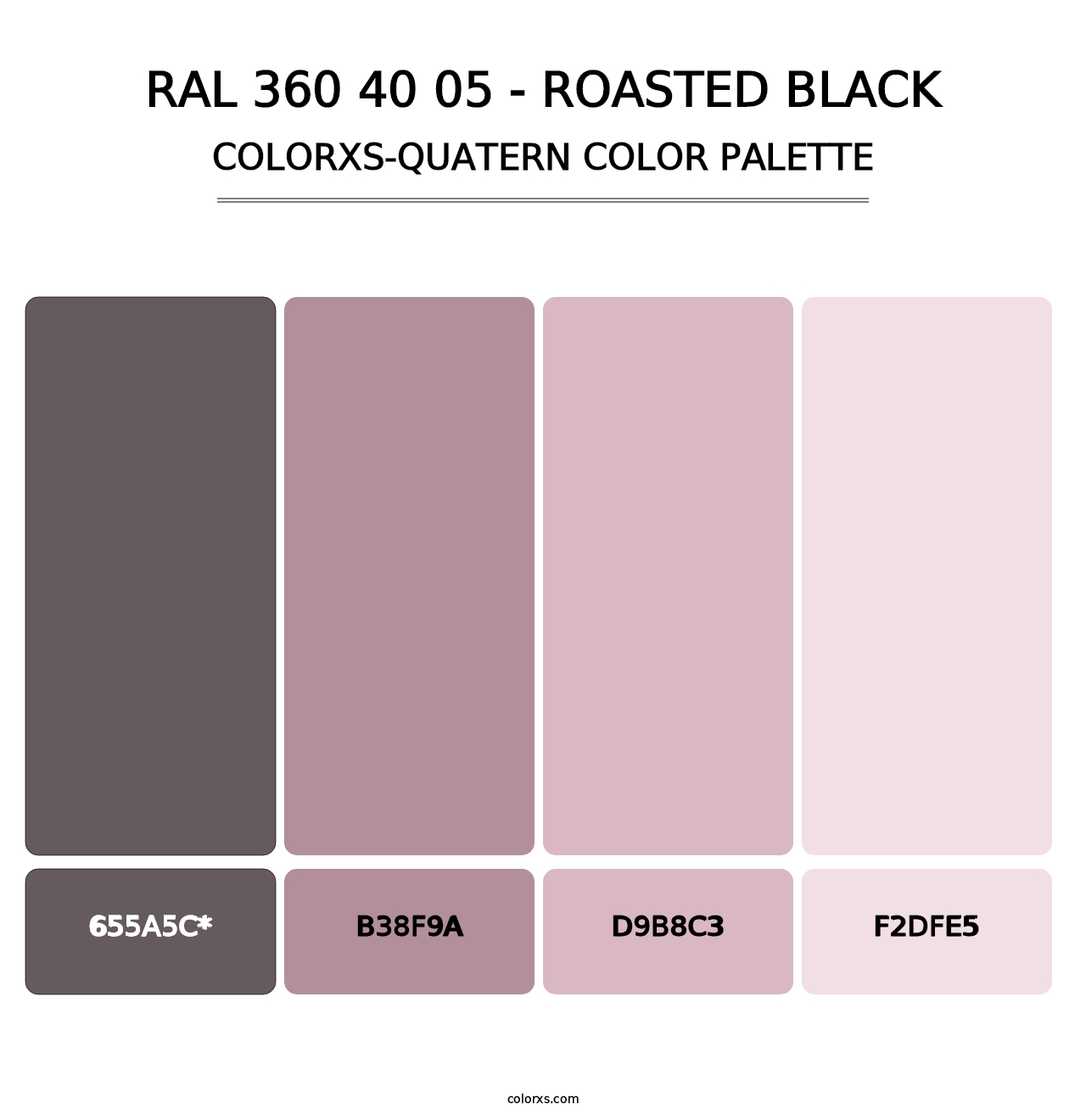 RAL 360 40 05 - Roasted Black - Colorxs Quad Palette