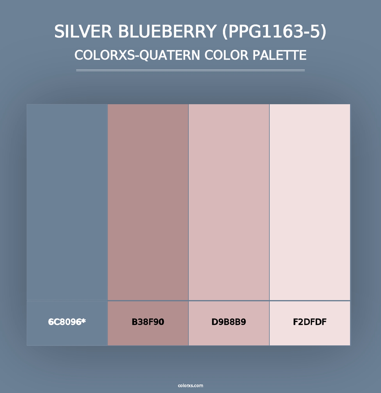 Silver Blueberry (PPG1163-5) - Colorxs Quad Palette