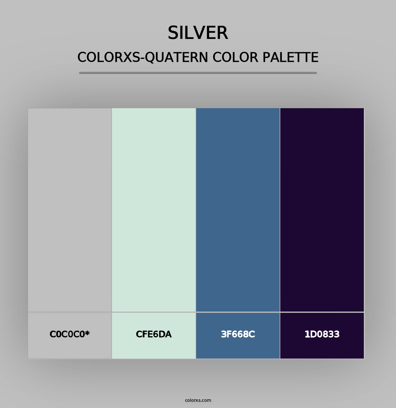 Silver - Colorxs Quad Palette