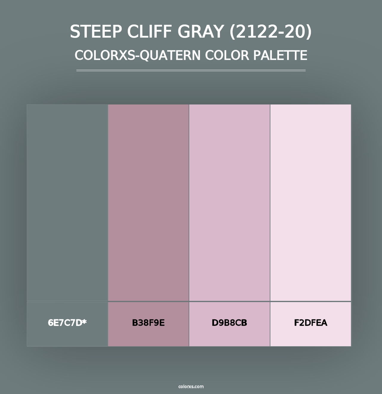 Steep Cliff Gray (2122-20) - Colorxs Quad Palette