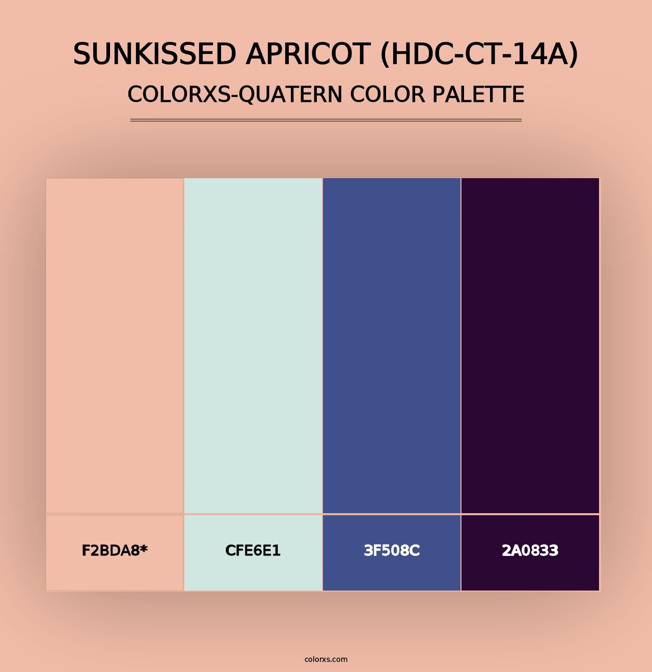 Sunkissed Apricot (HDC-CT-14A) - Colorxs Quad Palette