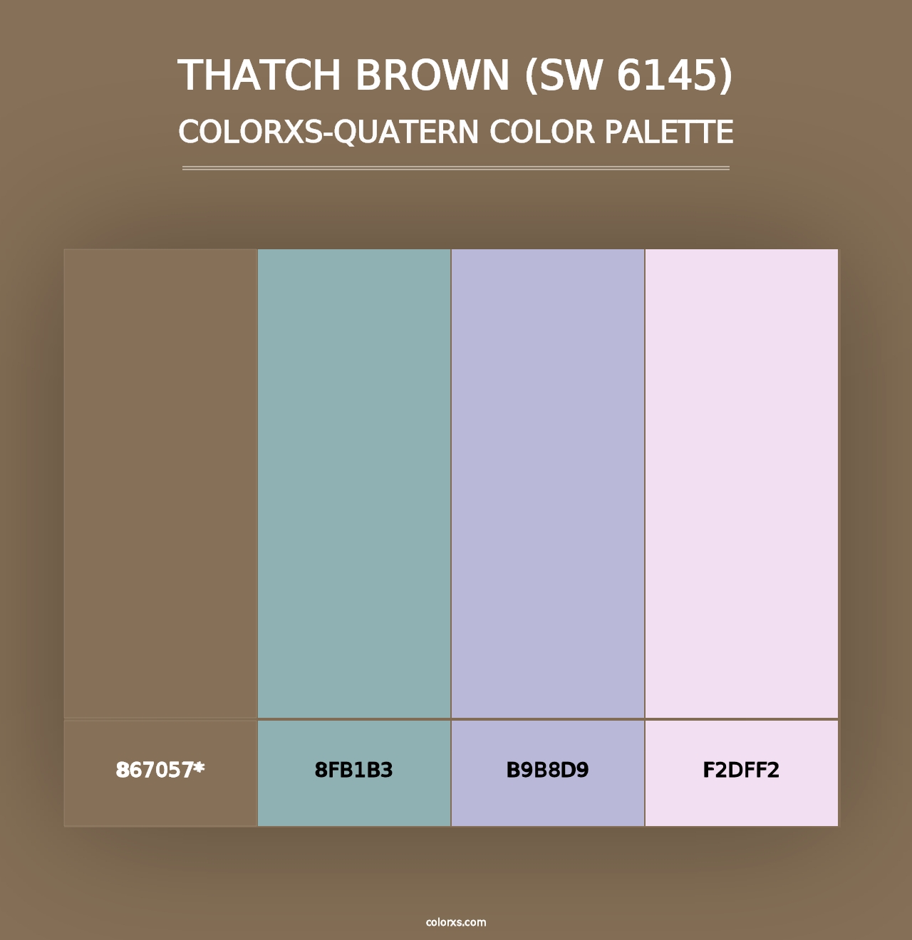 Thatch Brown (SW 6145) - Colorxs Quad Palette