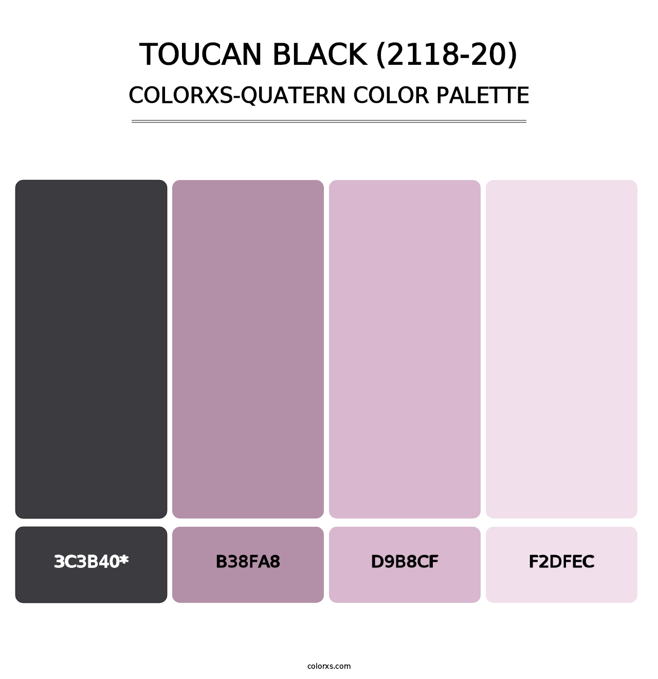 Toucan Black (2118-20) - Colorxs Quad Palette