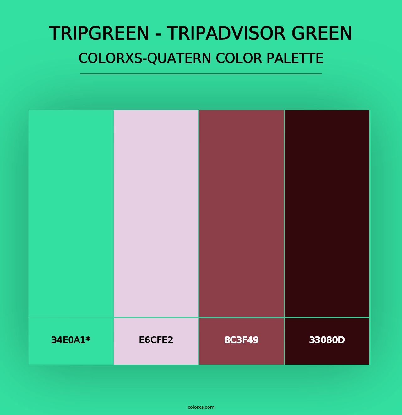 TripGreen - Tripadvisor Green - Colorxs Quad Palette