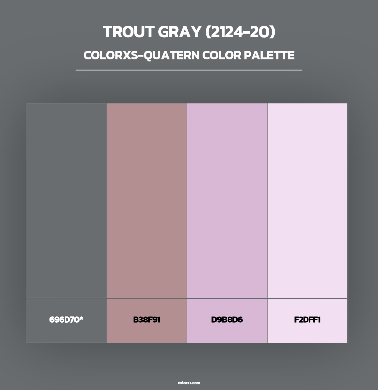 Trout Gray (2124-20) - Colorxs Quad Palette