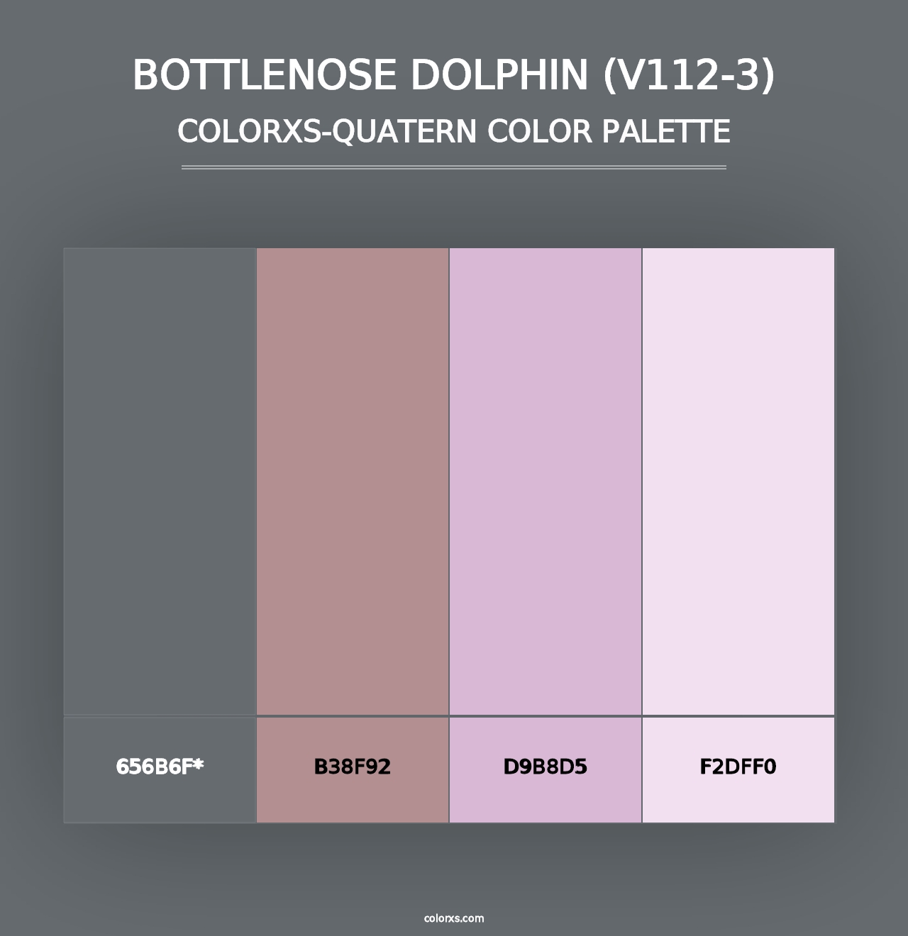 Bottlenose Dolphin (V112-3) - Colorxs Quad Palette