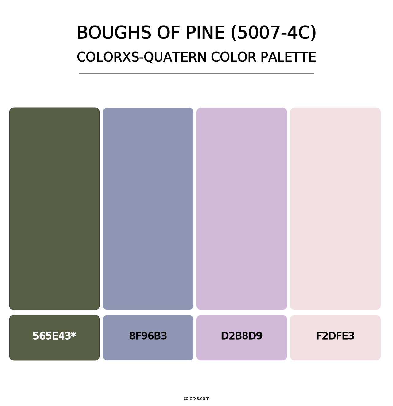 Boughs of Pine (5007-4C) - Colorxs Quad Palette