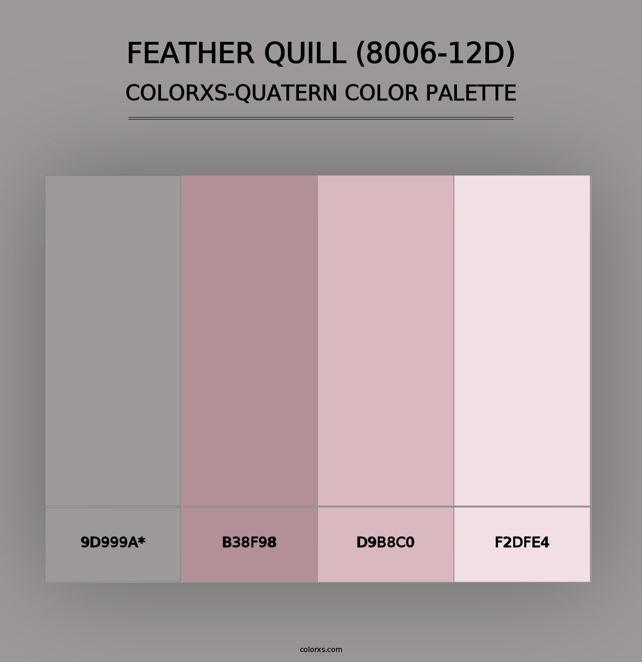 Feather Quill (8006-12D) - Colorxs Quad Palette