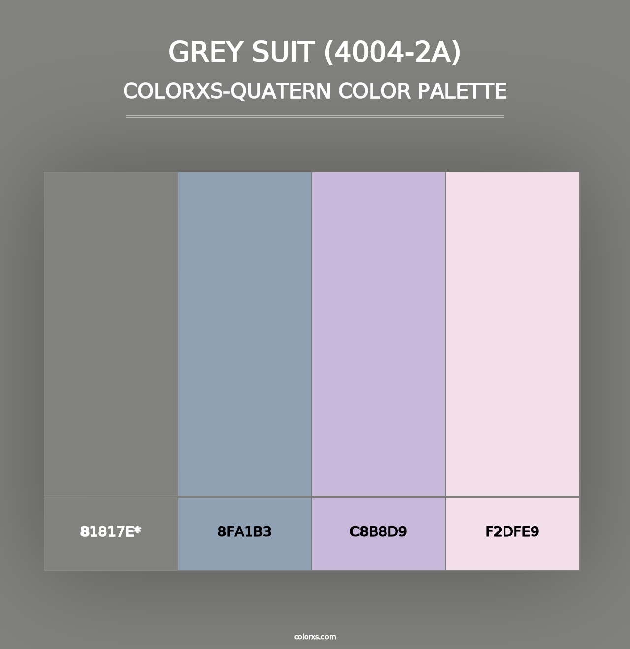 Grey Suit (4004-2A) - Colorxs Quad Palette