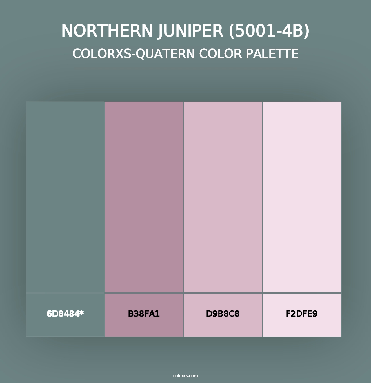 Northern Juniper (5001-4B) - Colorxs Quad Palette