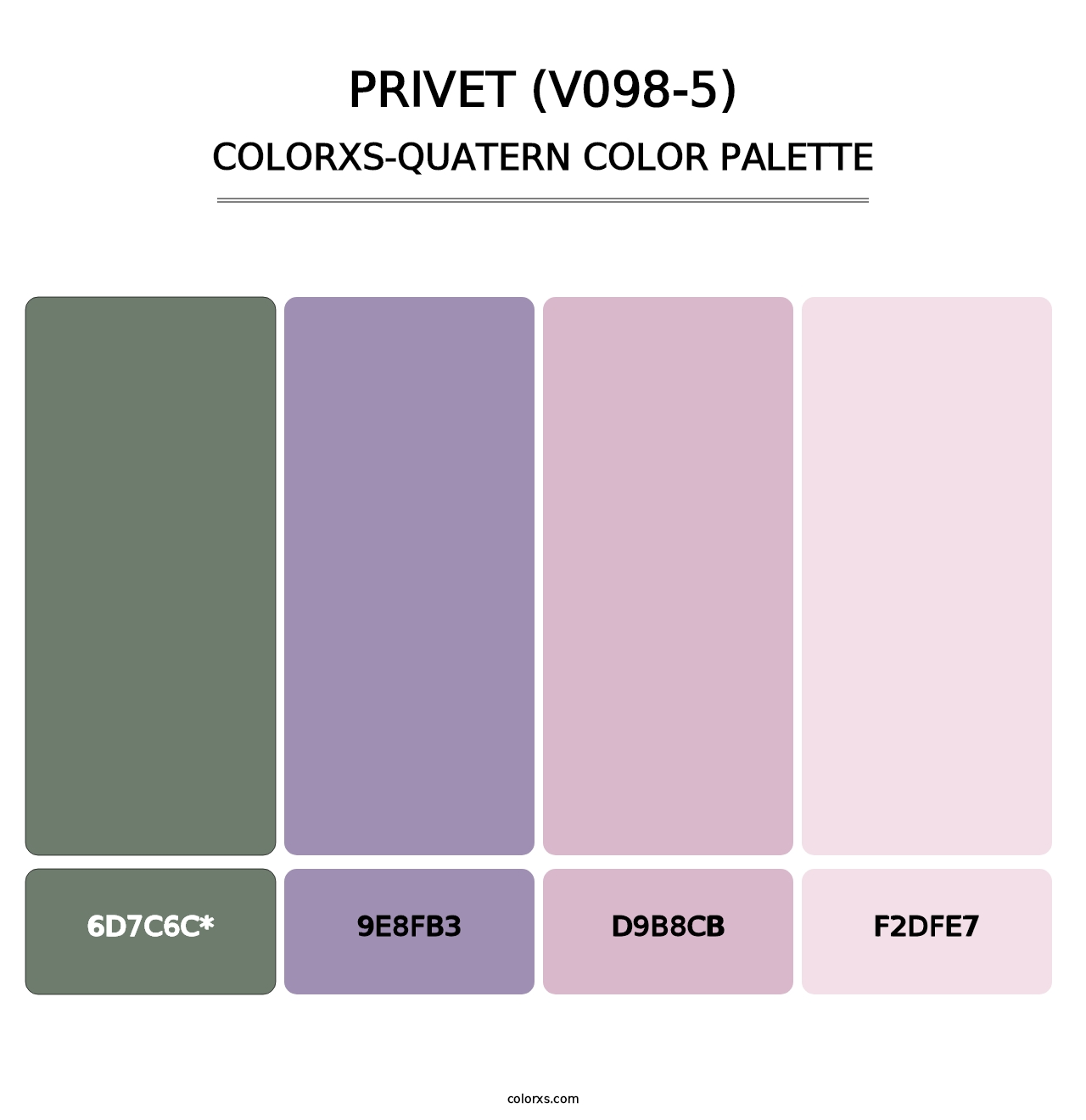 Privet (V098-5) - Colorxs Quad Palette