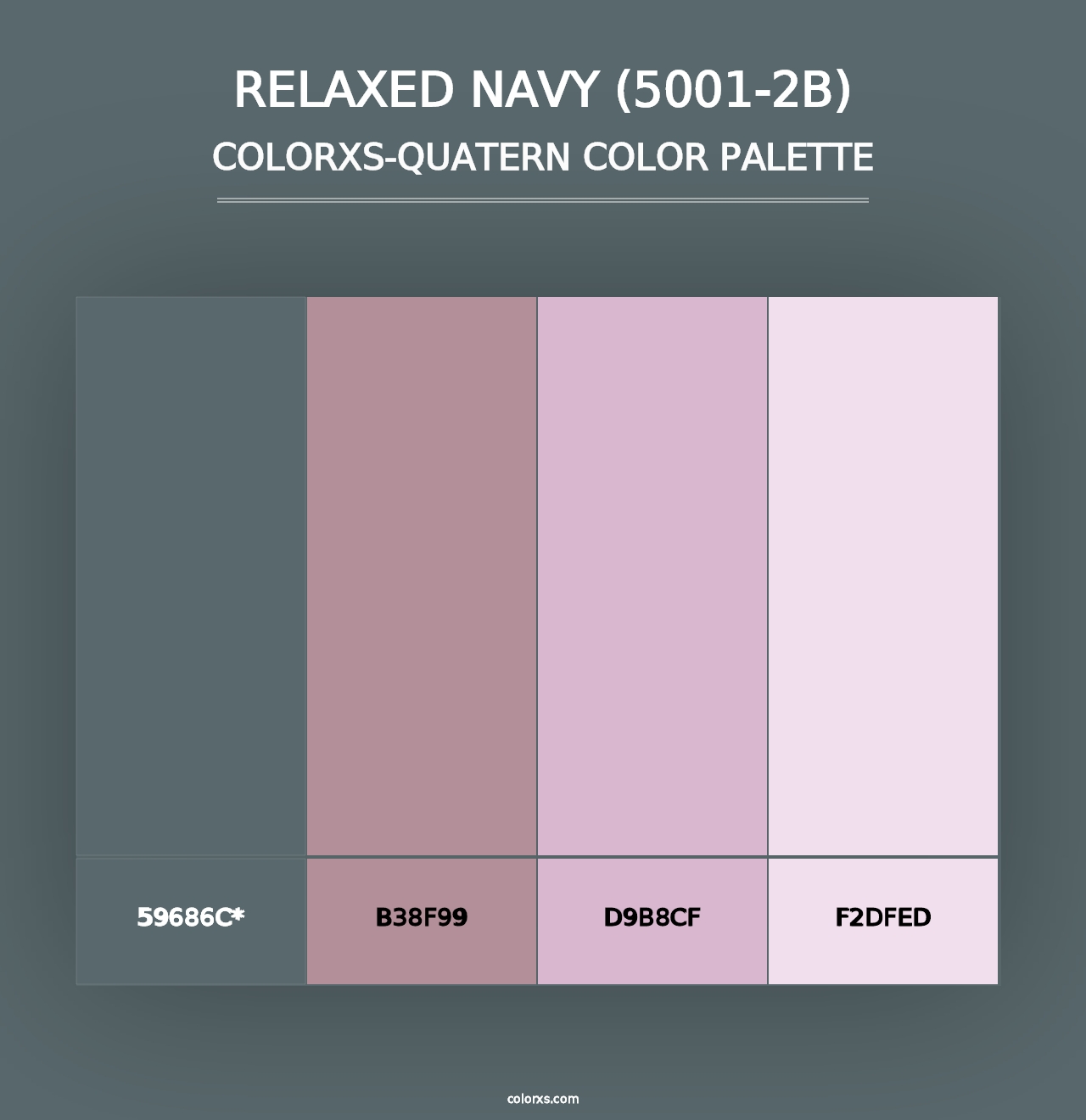 Relaxed Navy (5001-2B) - Colorxs Quad Palette