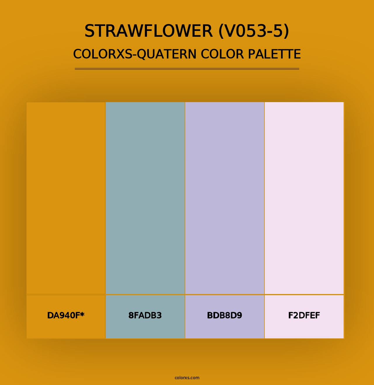 Strawflower (V053-5) - Colorxs Quad Palette