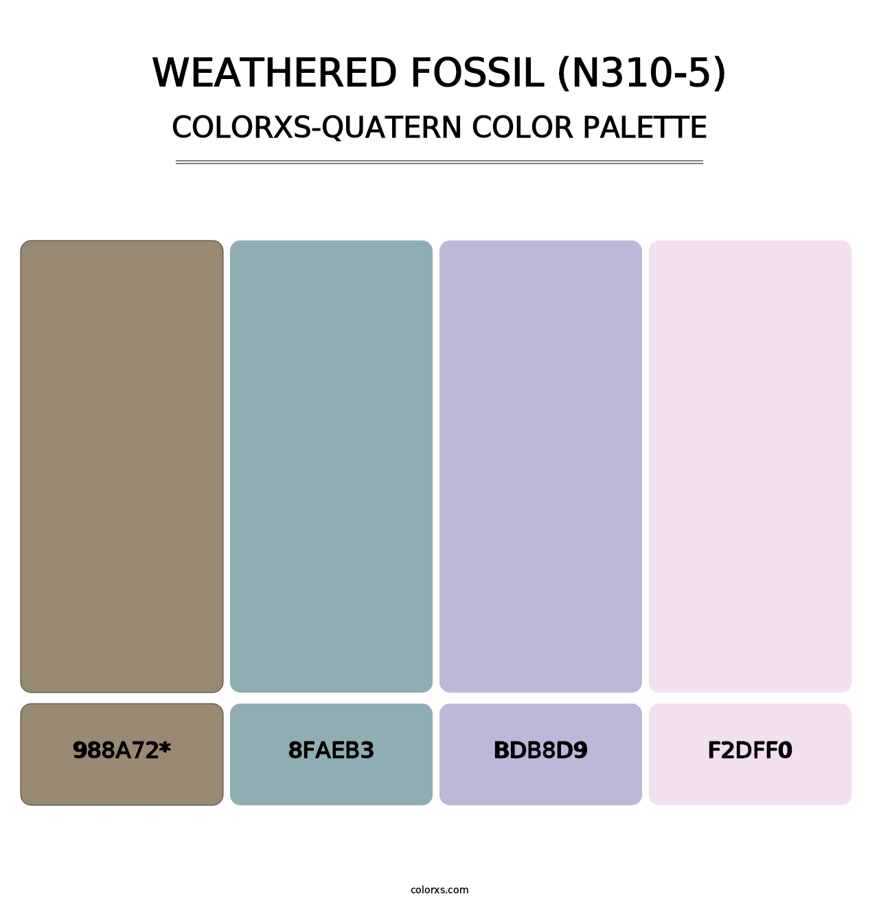 Weathered Fossil (N310-5) - Colorxs Quad Palette