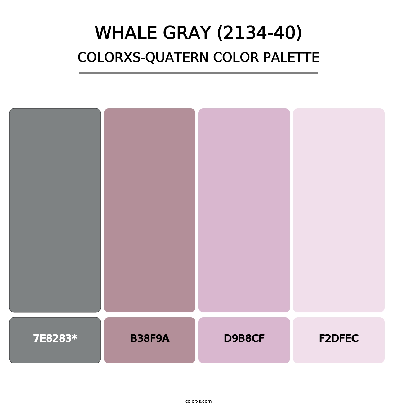 Whale Gray (2134-40) - Colorxs Quad Palette