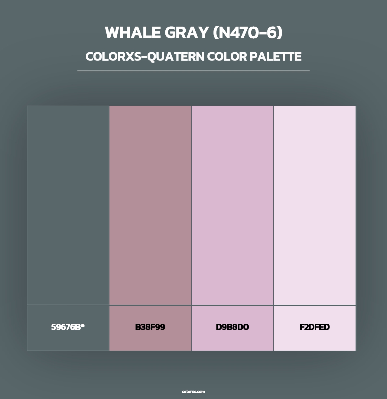 Whale Gray (N470-6) - Colorxs Quad Palette