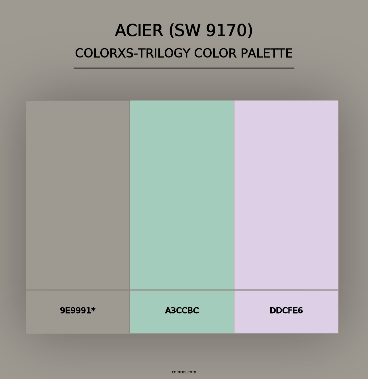 Acier (SW 9170) - Colorxs Trilogy Palette