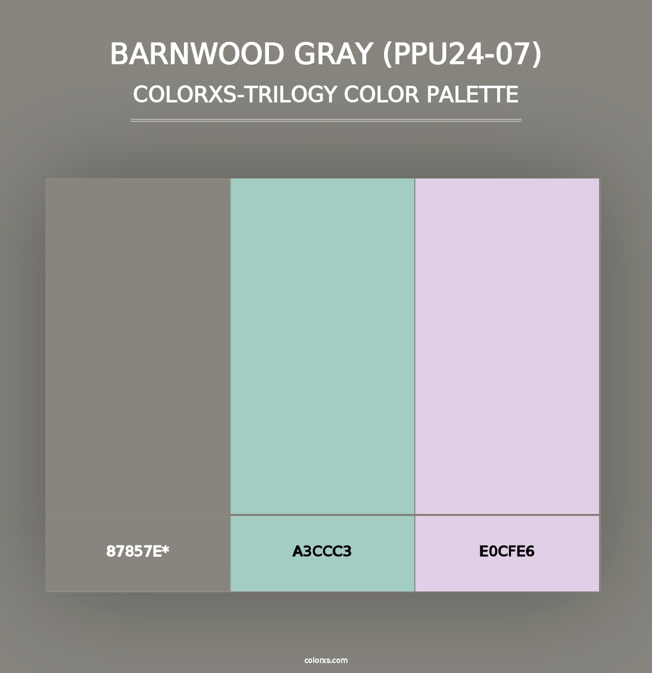 Barnwood Gray (PPU24-07) - Colorxs Trilogy Palette