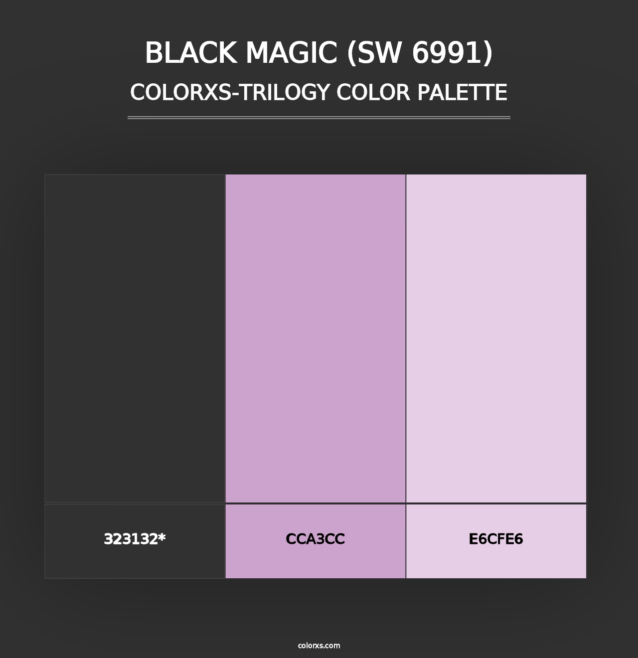 Black Magic (SW 6991) - Colorxs Trilogy Palette