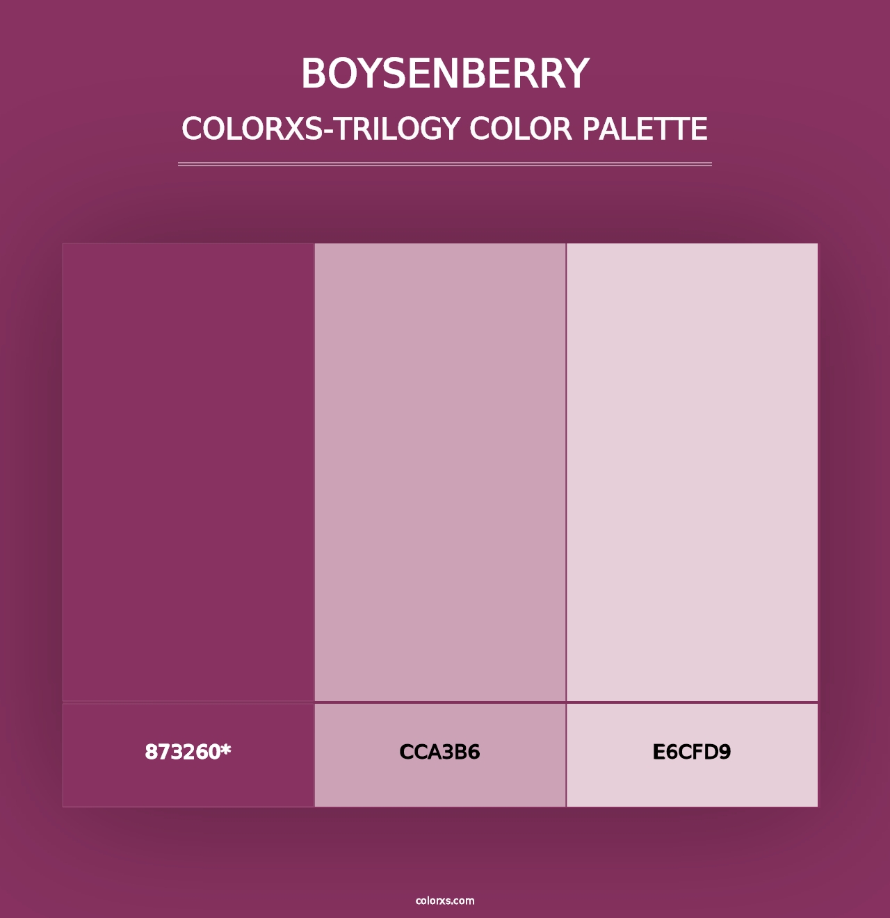 Boysenberry - Colorxs Trilogy Palette