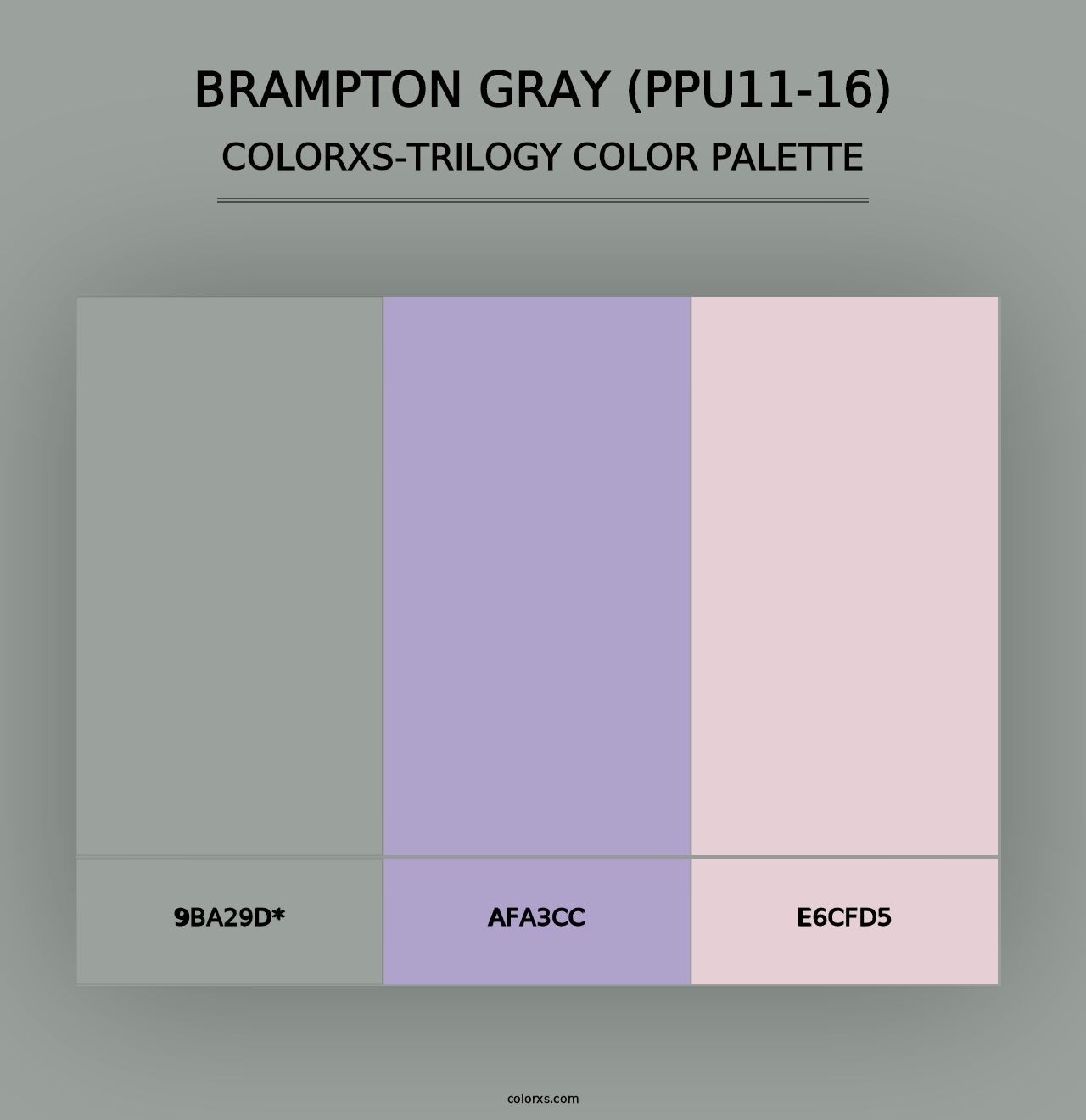 Brampton Gray (PPU11-16) - Colorxs Trilogy Palette