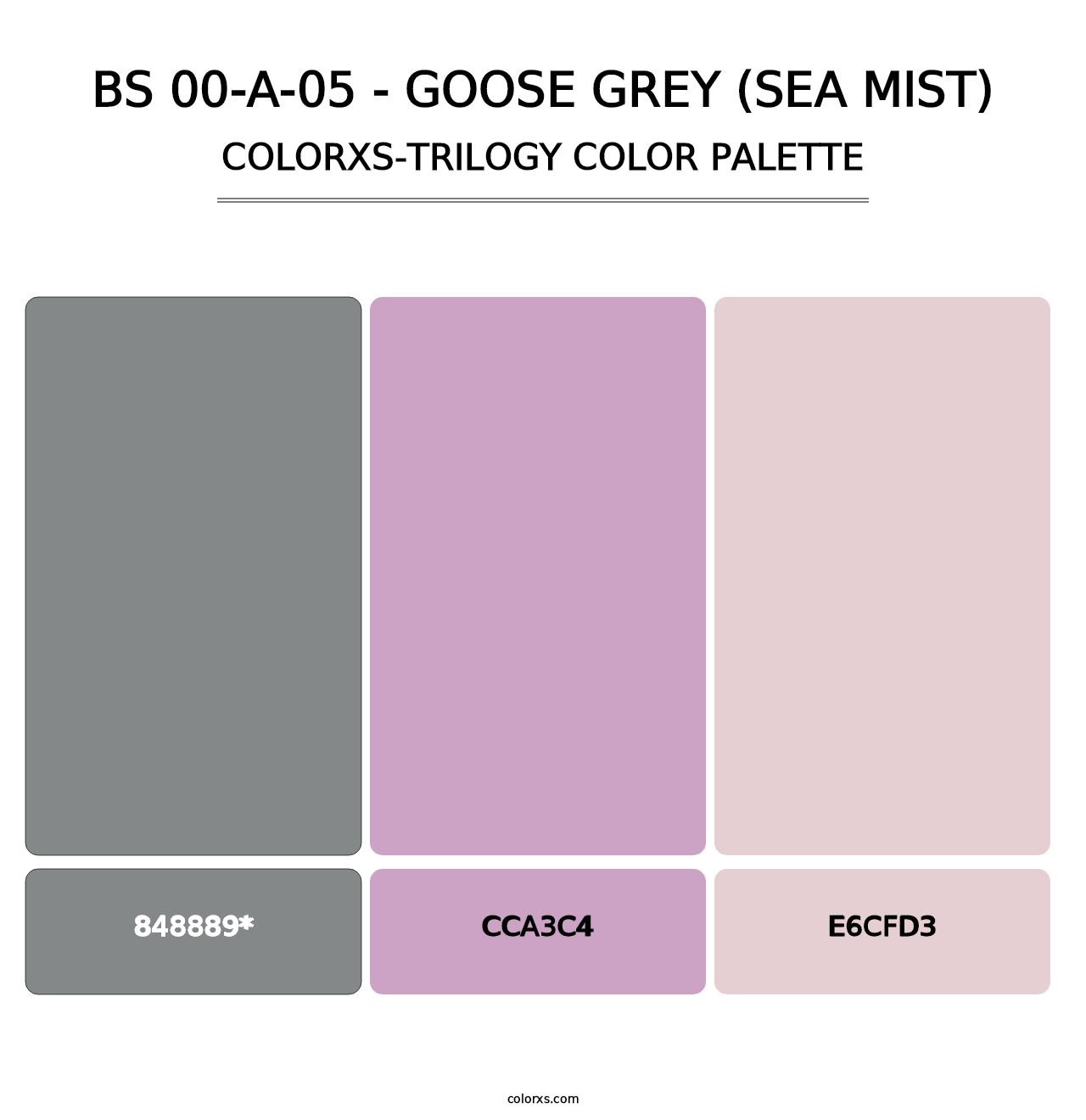 BS 00-A-05 - Goose Grey (Sea Mist) - Colorxs Trilogy Palette