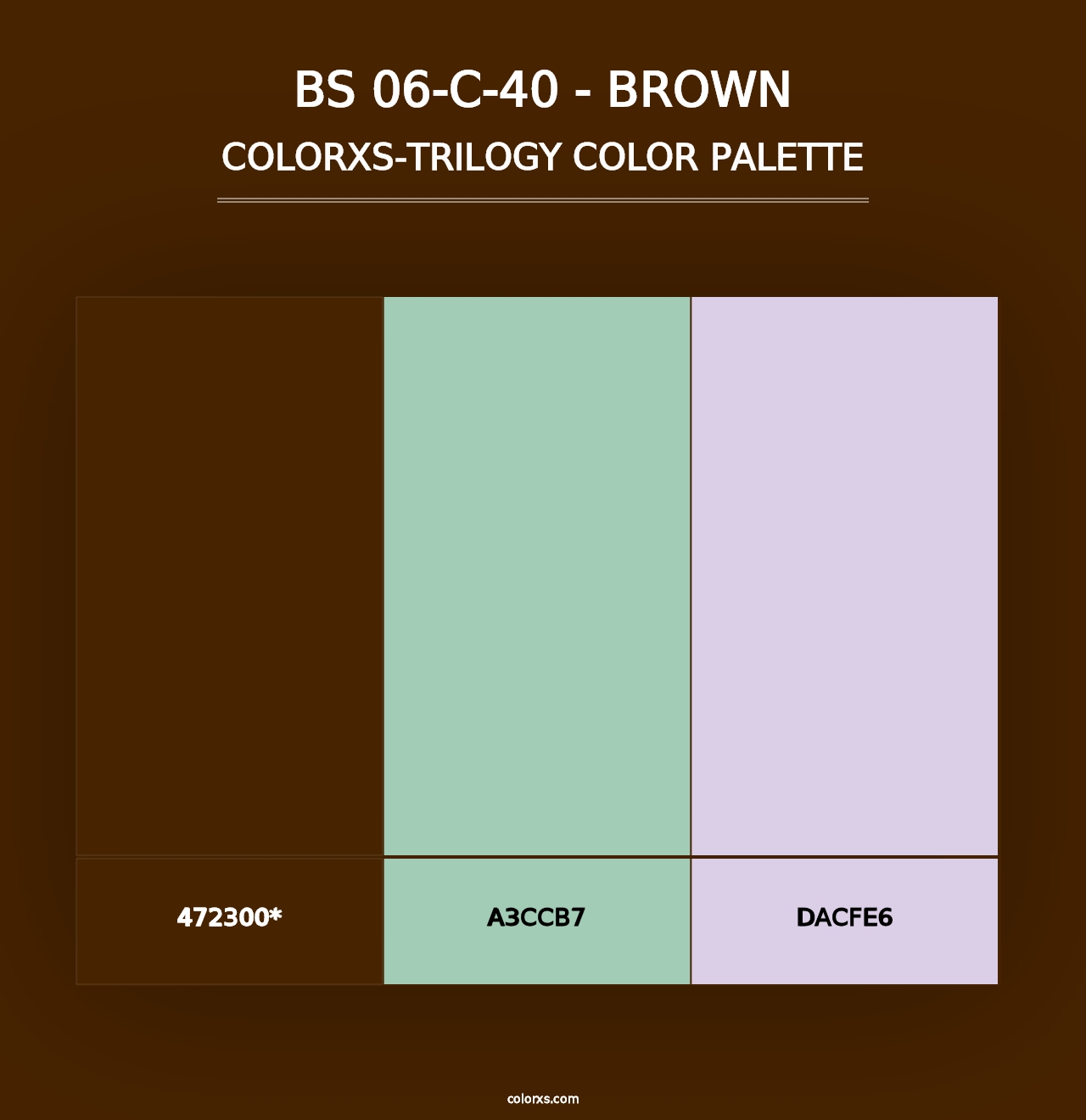 BS 06-C-40 - Brown - Colorxs Trilogy Palette