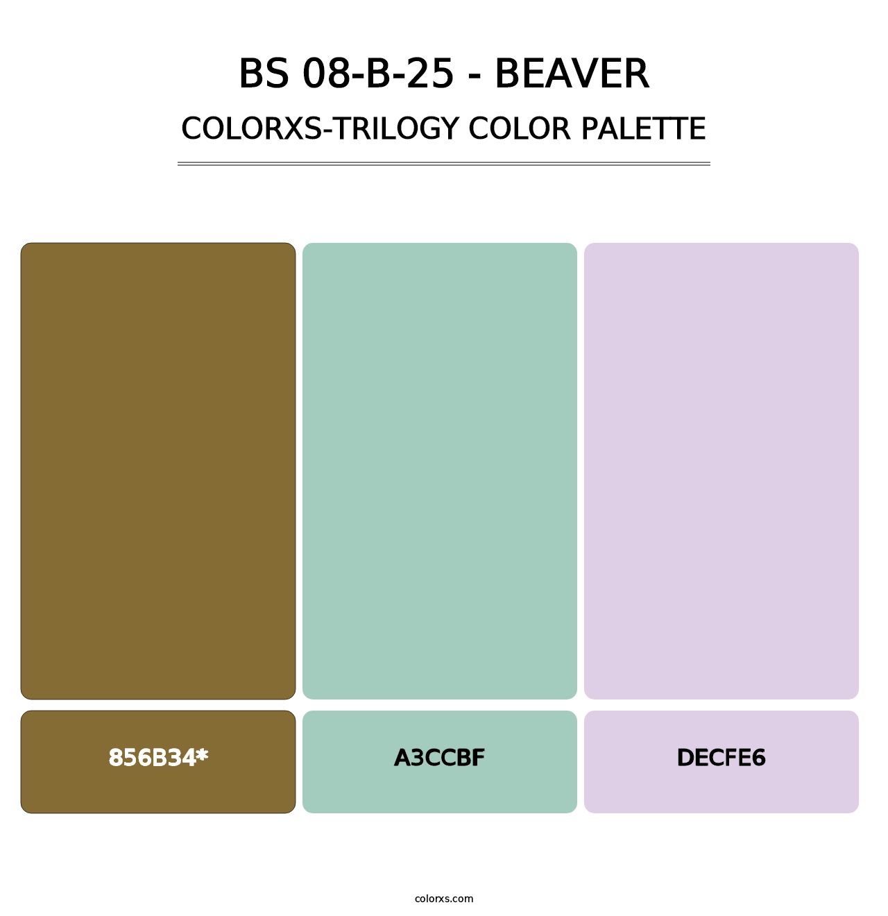 BS 08-B-25 - Beaver - Colorxs Trilogy Palette