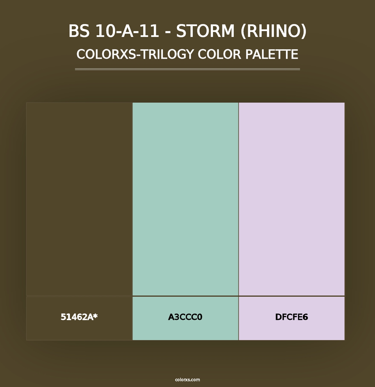 BS 10-A-11 - Storm (Rhino) - Colorxs Trilogy Palette