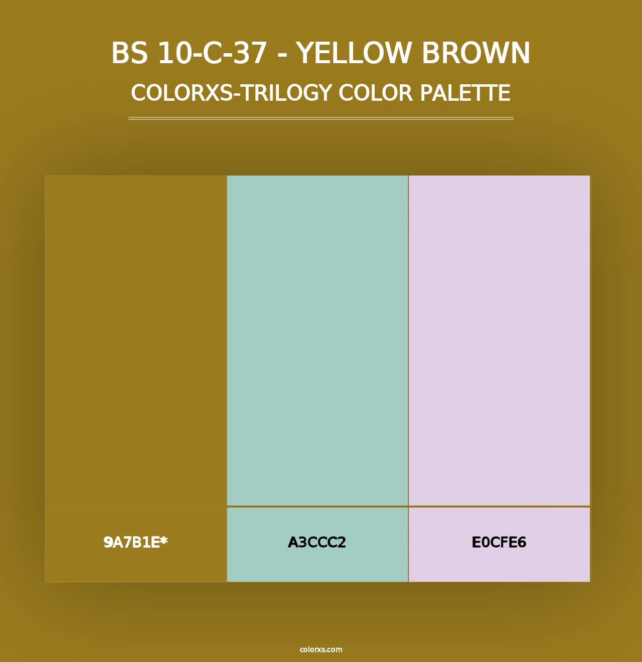 BS 10-C-37 - Yellow Brown - Colorxs Trilogy Palette