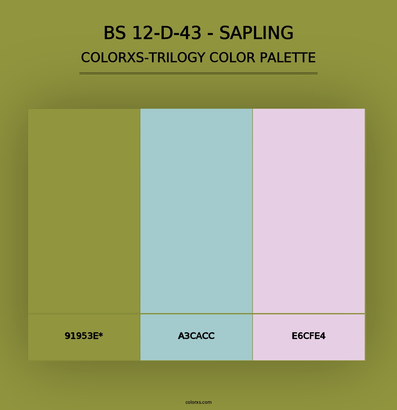 BS 12-D-43 - Sapling - Colorxs Trilogy Palette