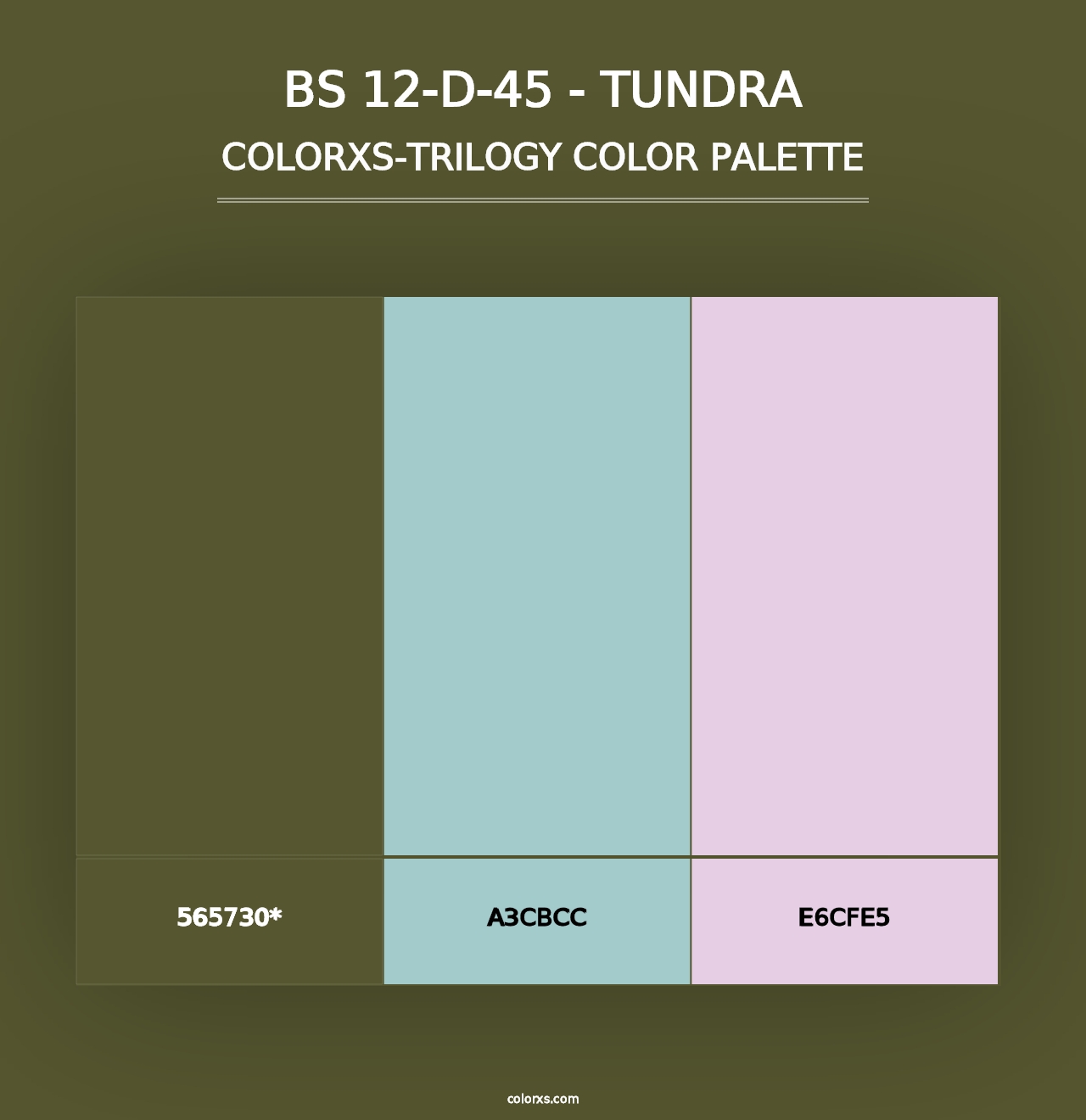 BS 12-D-45 - Tundra - Colorxs Trilogy Palette