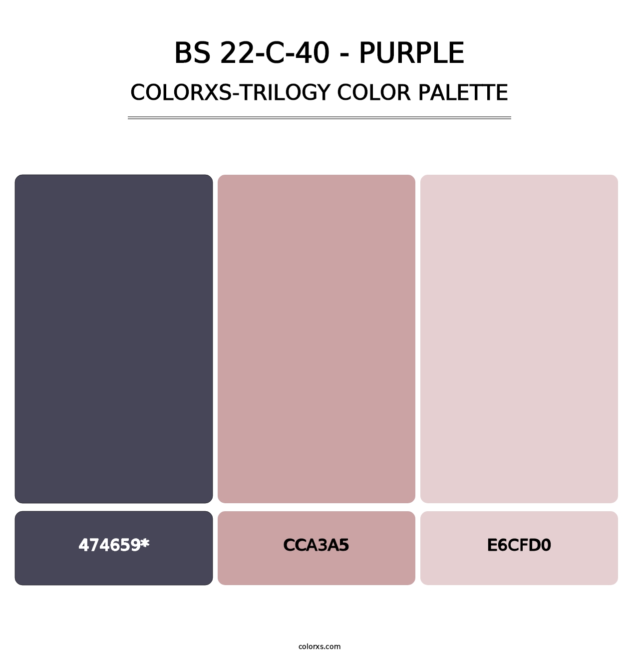 BS 22-C-40 - Purple - Colorxs Trilogy Palette