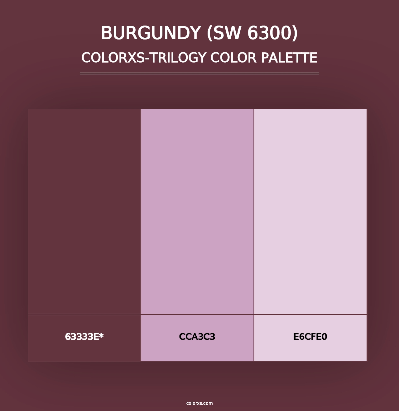 Burgundy (SW 6300) - Colorxs Trilogy Palette