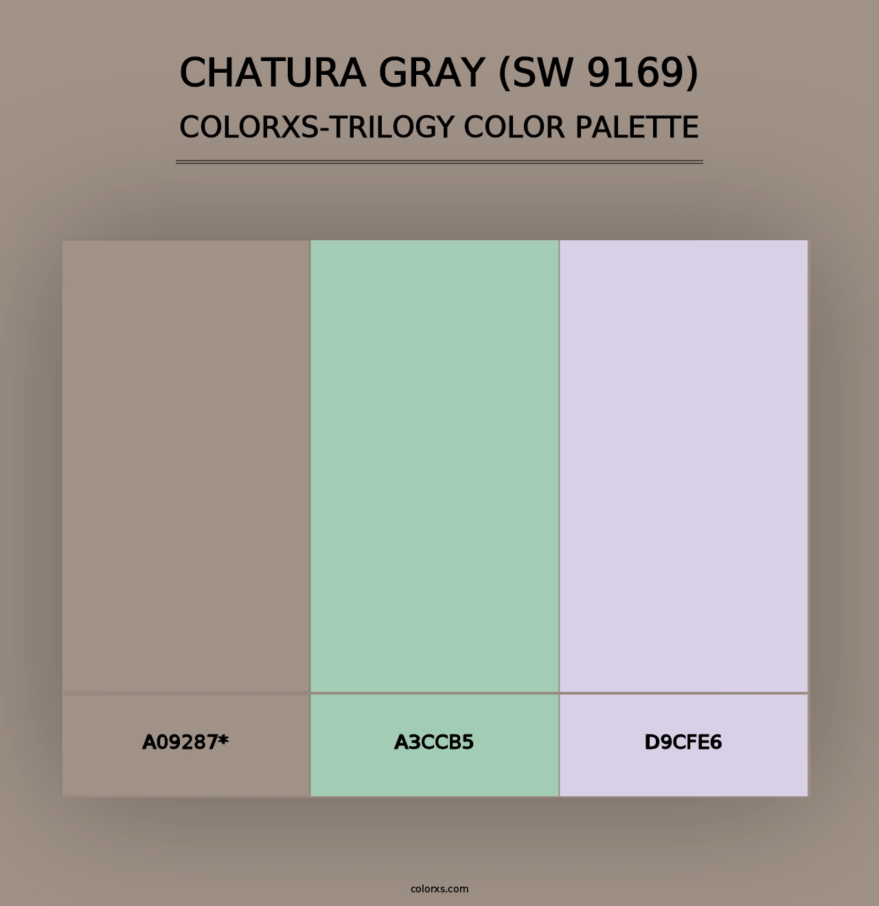 Chatura Gray (SW 9169) - Colorxs Trilogy Palette